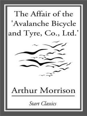cover image of The Affair of the 'Avalanche Bicycle